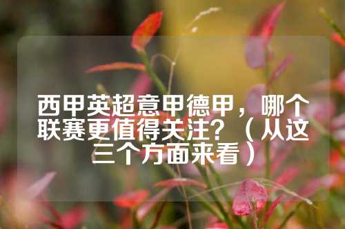 不仅能够提