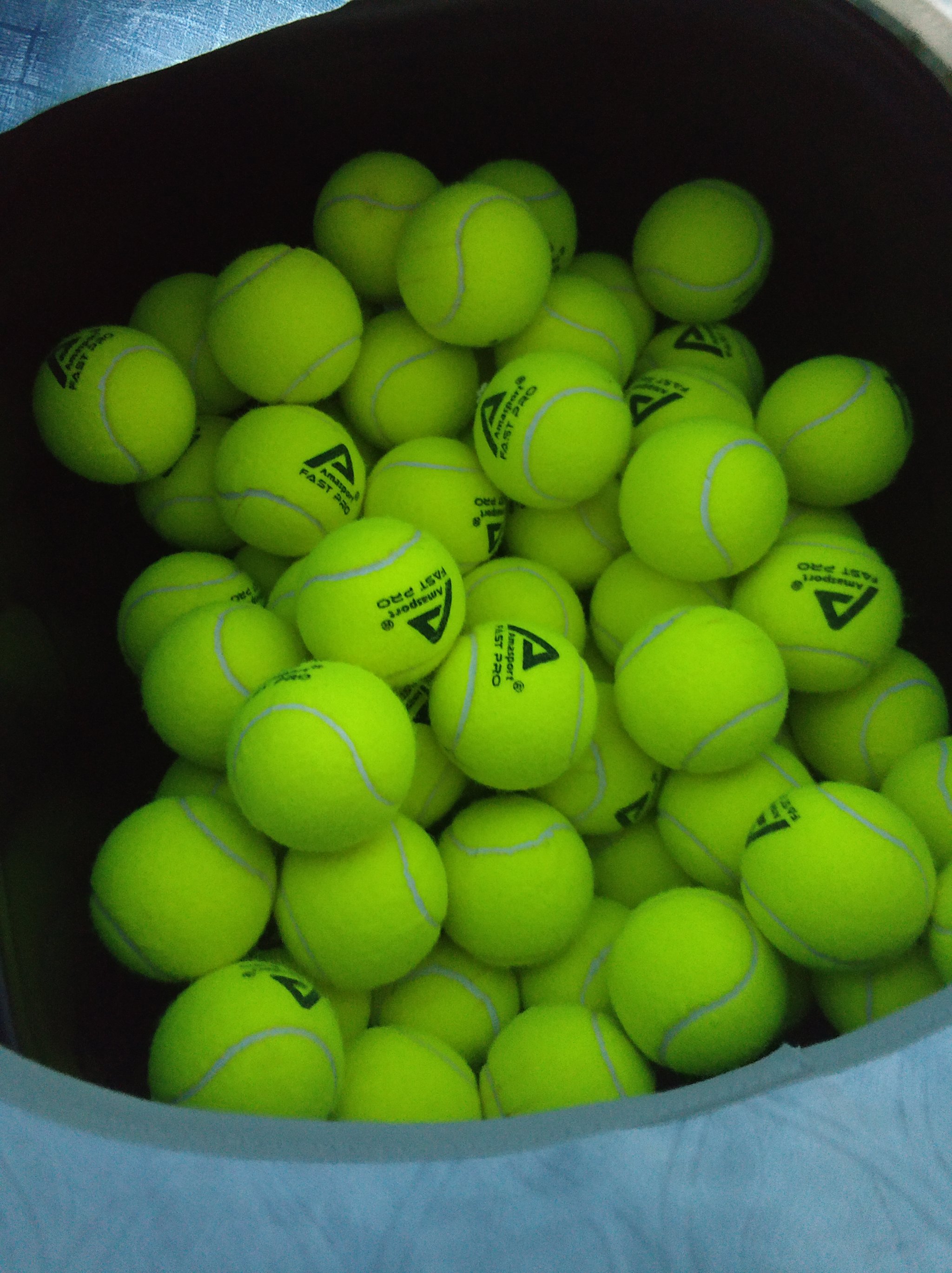 与三冠王的 与三冠王的