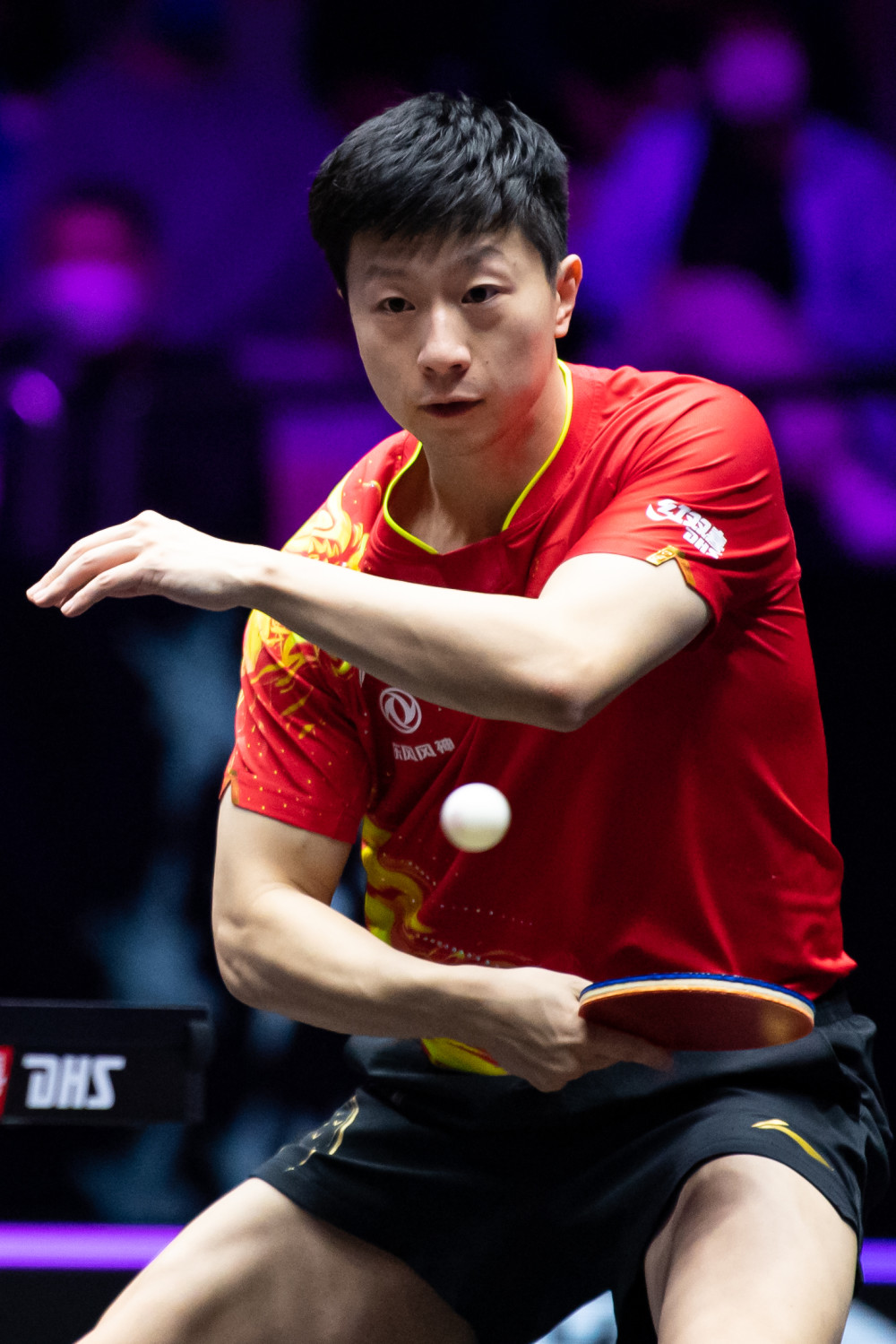 会中证明自 会中证明自