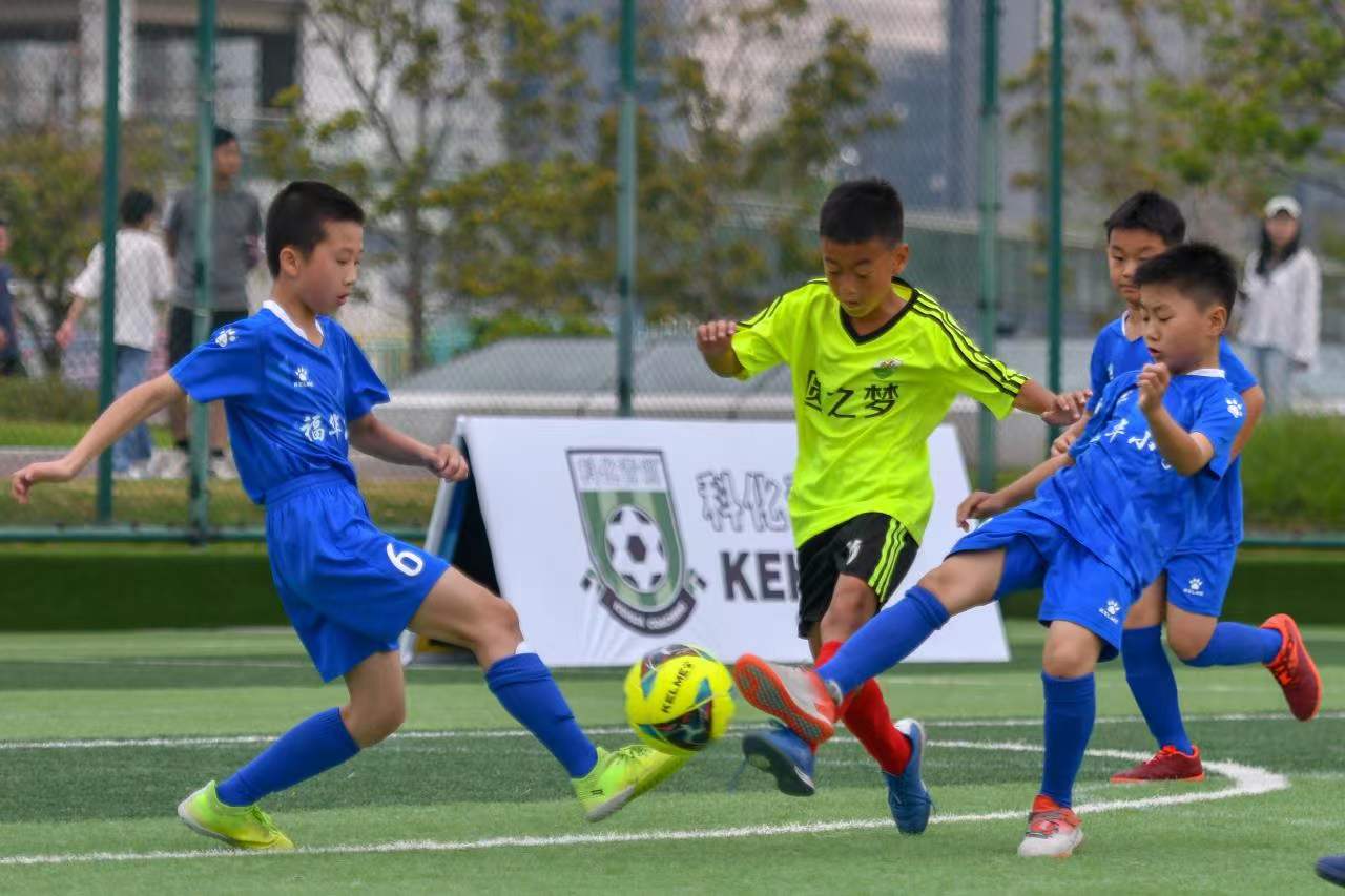 出新的选择 出新的选择