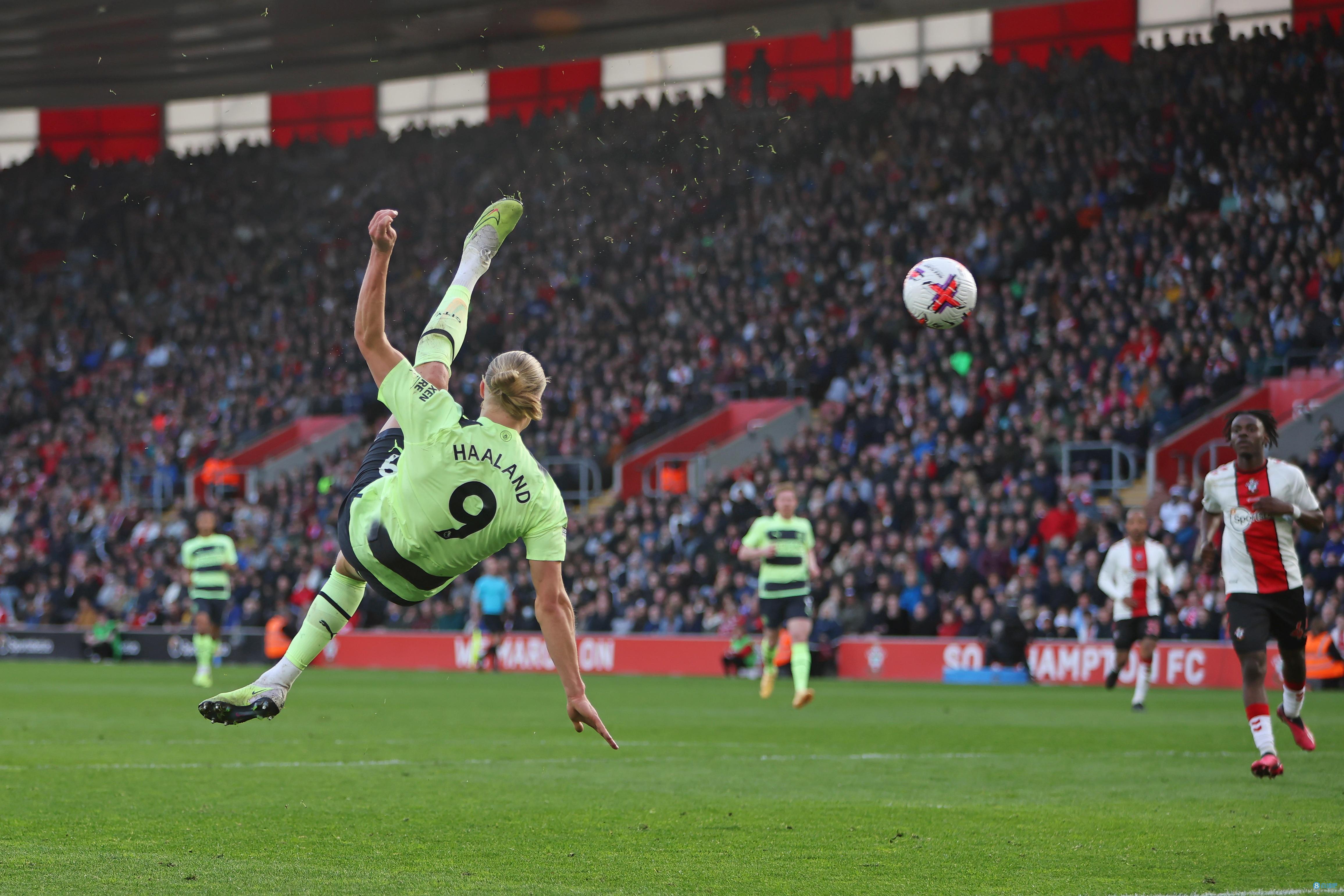 杜智博并不 杜智博并不