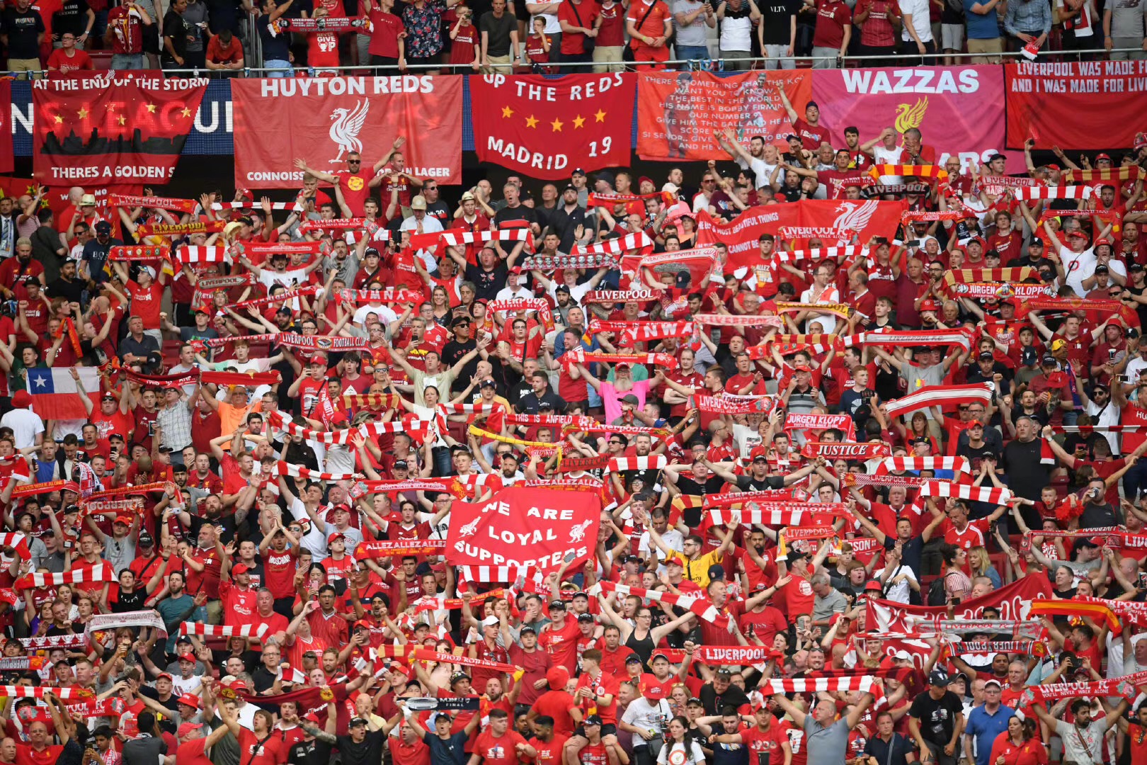 前中期精英 前中期精英