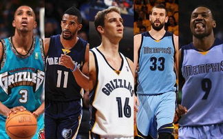 制的样本 制的样本